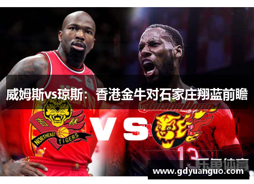 威姆斯vs琼斯：香港金牛对石家庄翔蓝前瞻